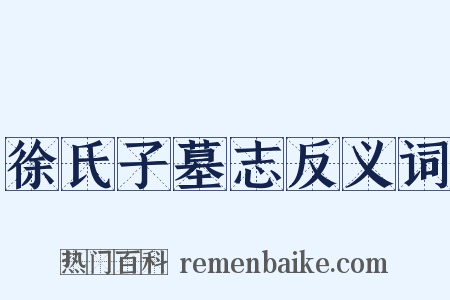 徐氏子墓志反义词是什么意思的图片